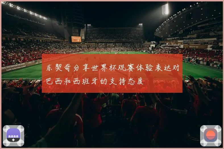 东契奇分享世界杯观赛体验表达对巴西和西班牙的支持态度